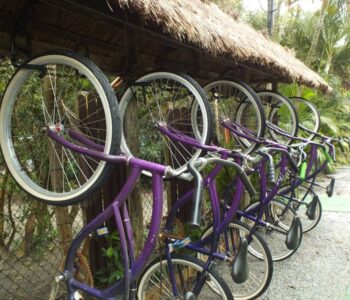 pousada-por-do-sol-passeios-de-bicicleta